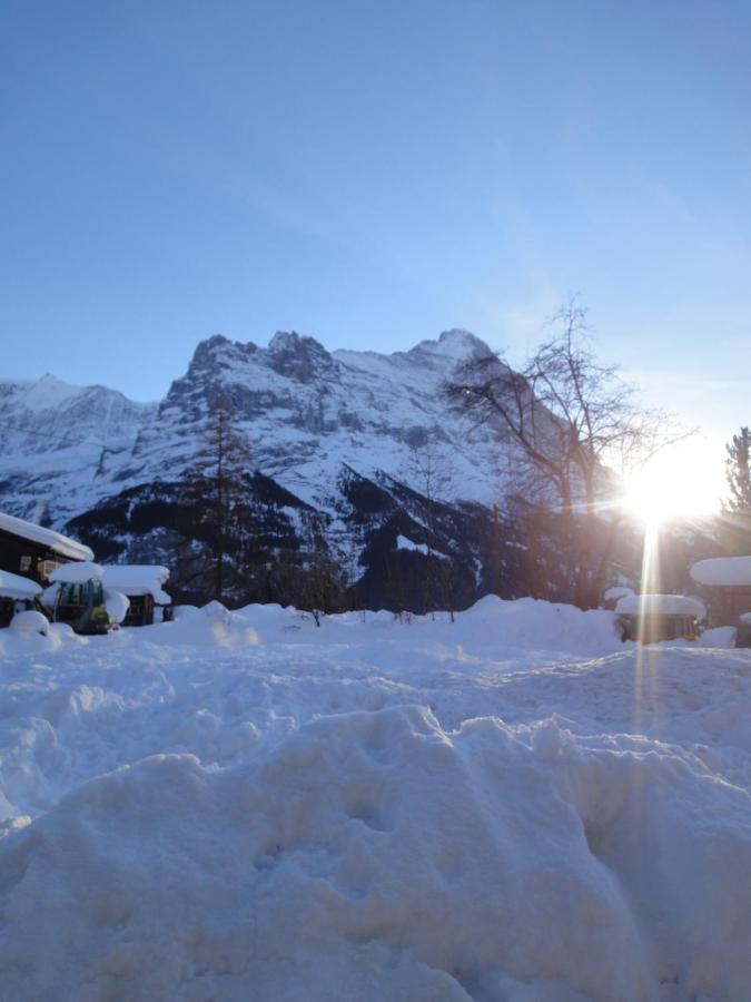 Chalet Engi Apt 1 For Up To 8 People Grindelwald Exterior photo