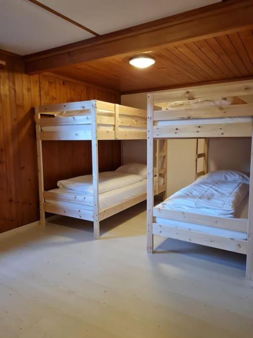 Chalet Engi Apt 1 For Up To 8 People Grindelwald Exterior photo