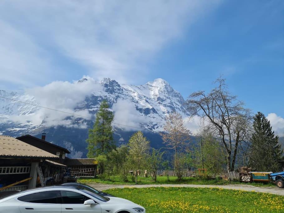 Chalet Engi Apt 1 For Up To 8 People Grindelwald Exterior photo